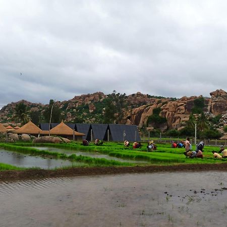 האמפי Golden Chariot Resort מראה חיצוני תמונה