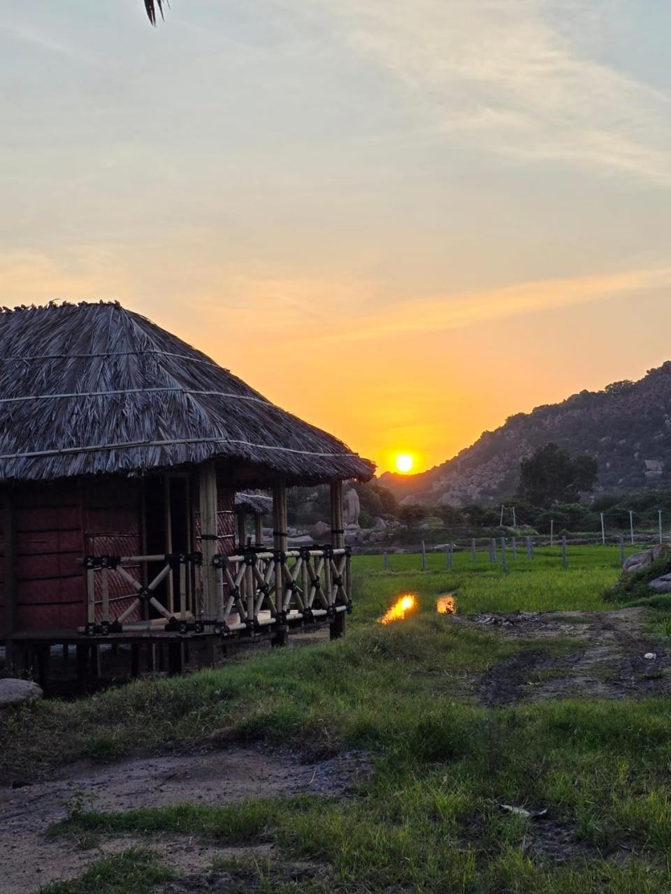 האמפי Golden Chariot Resort מראה חיצוני תמונה